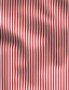 red-twill-pencil-stripe